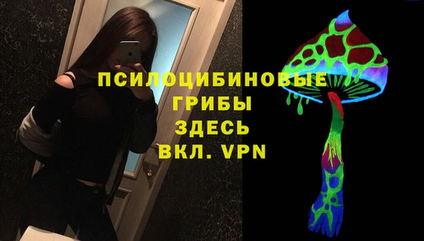 прущий лед Алзамай